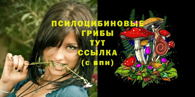 купить наркотики цена  Вятские Поляны  Галлюциногенные грибы Magic Shrooms 